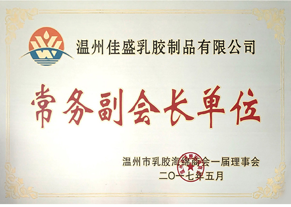 常务副会长单位